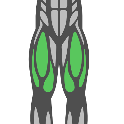 Sub Muscle