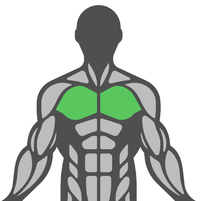 Sub Muscle