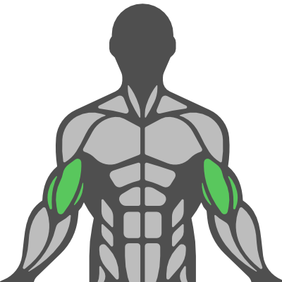 Sub Muscle