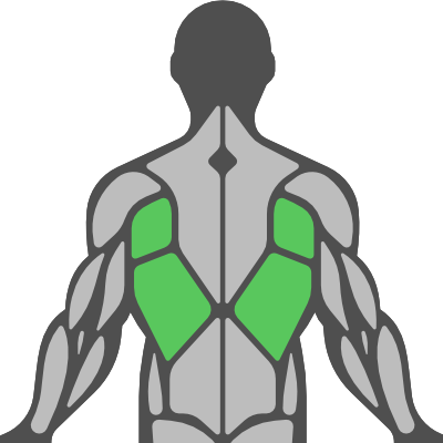 Sub Muscle