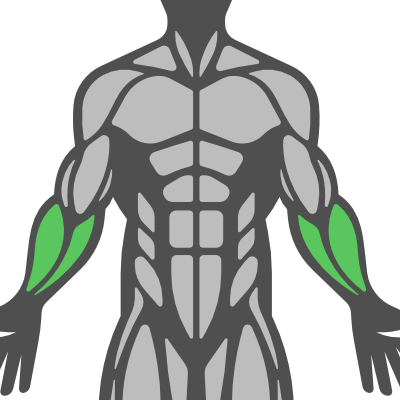 Sub Muscle