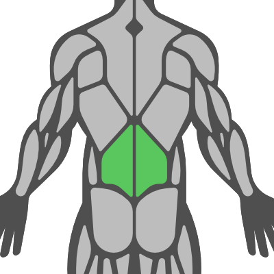 Sub Muscle