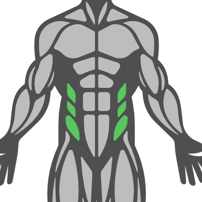Sub Muscle